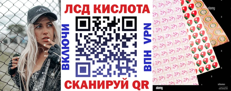 MEGA зеркало купить цена Жиздра Наркотические марки 1500мкг